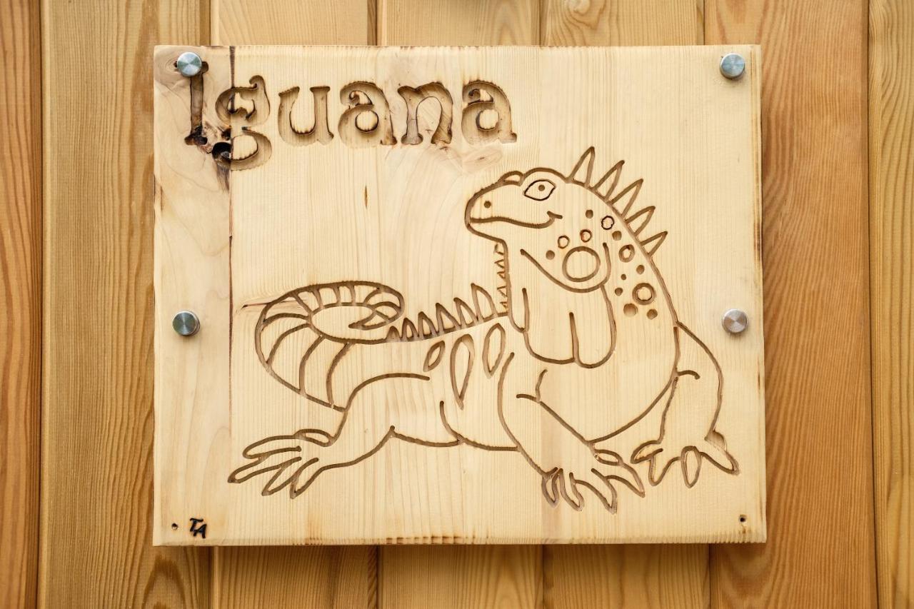 Iguana - Das Tiny Haus Am Reptilienzoo Reptilium ลันเดาอินแดร์ฟัลซ์ ภายนอก รูปภาพ